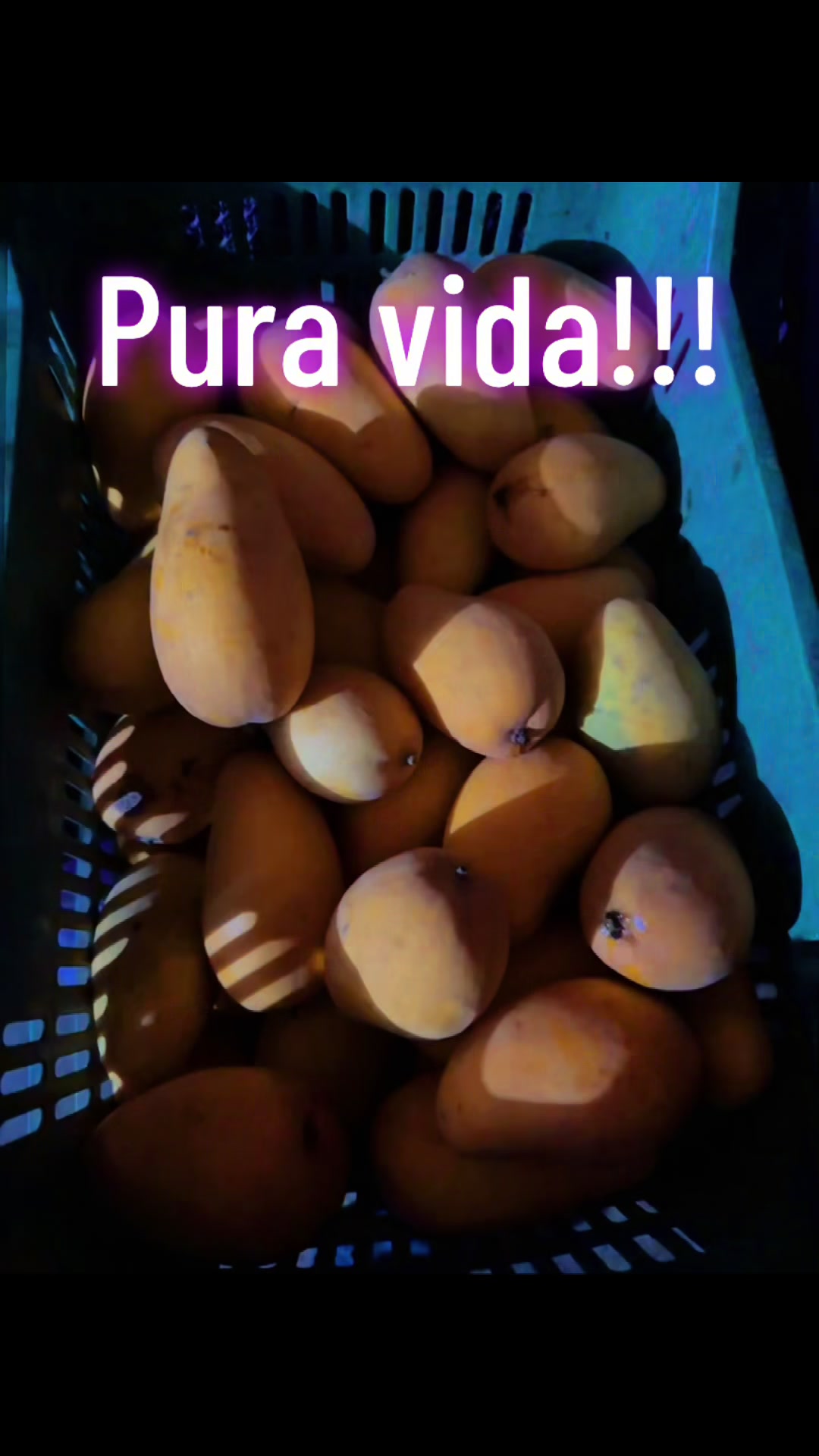 @espinozon