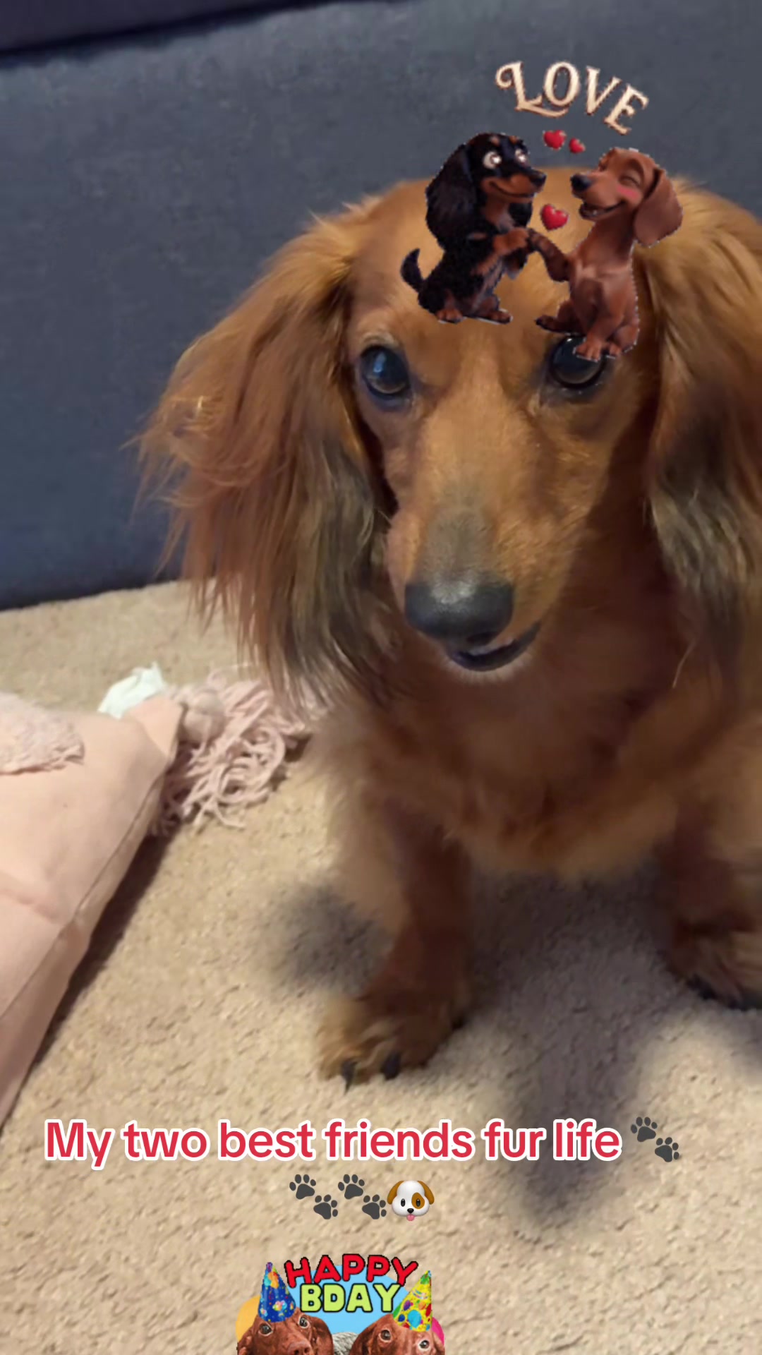 @Messi and Nelly(theweiners)