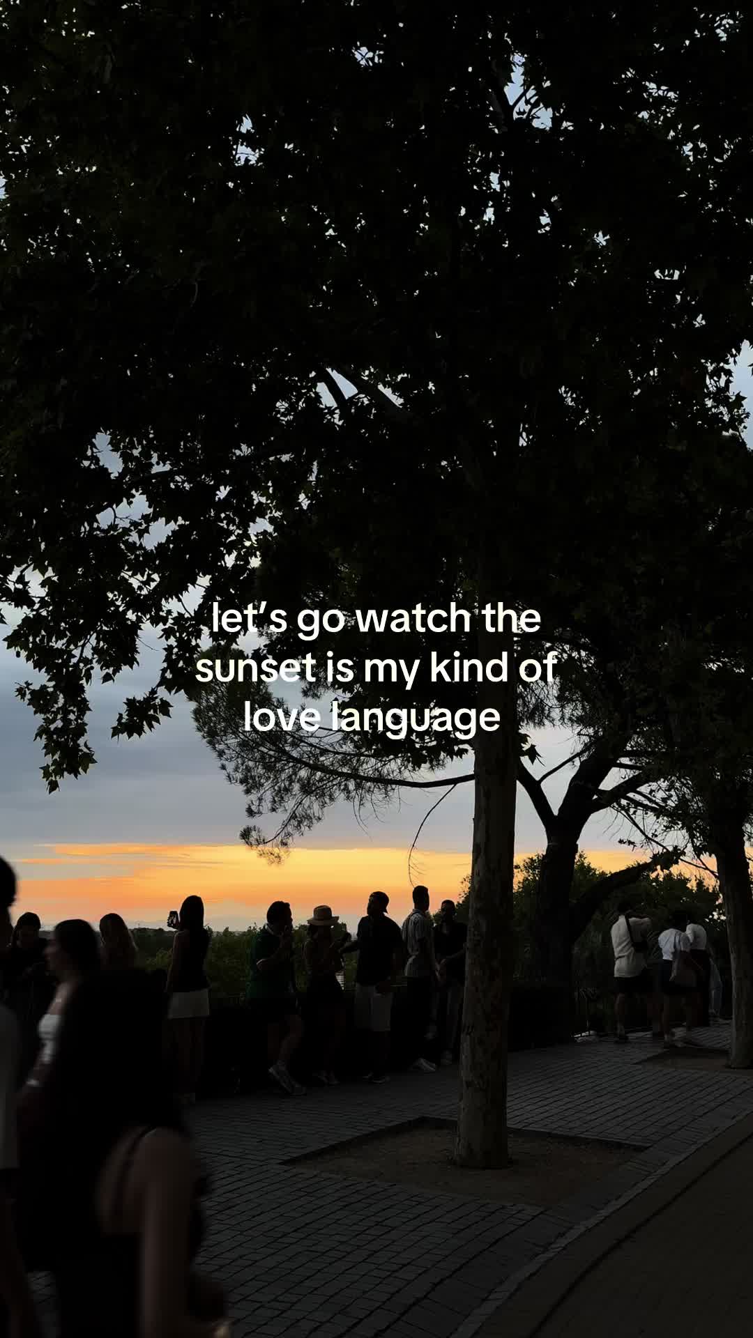 @SARA HAN