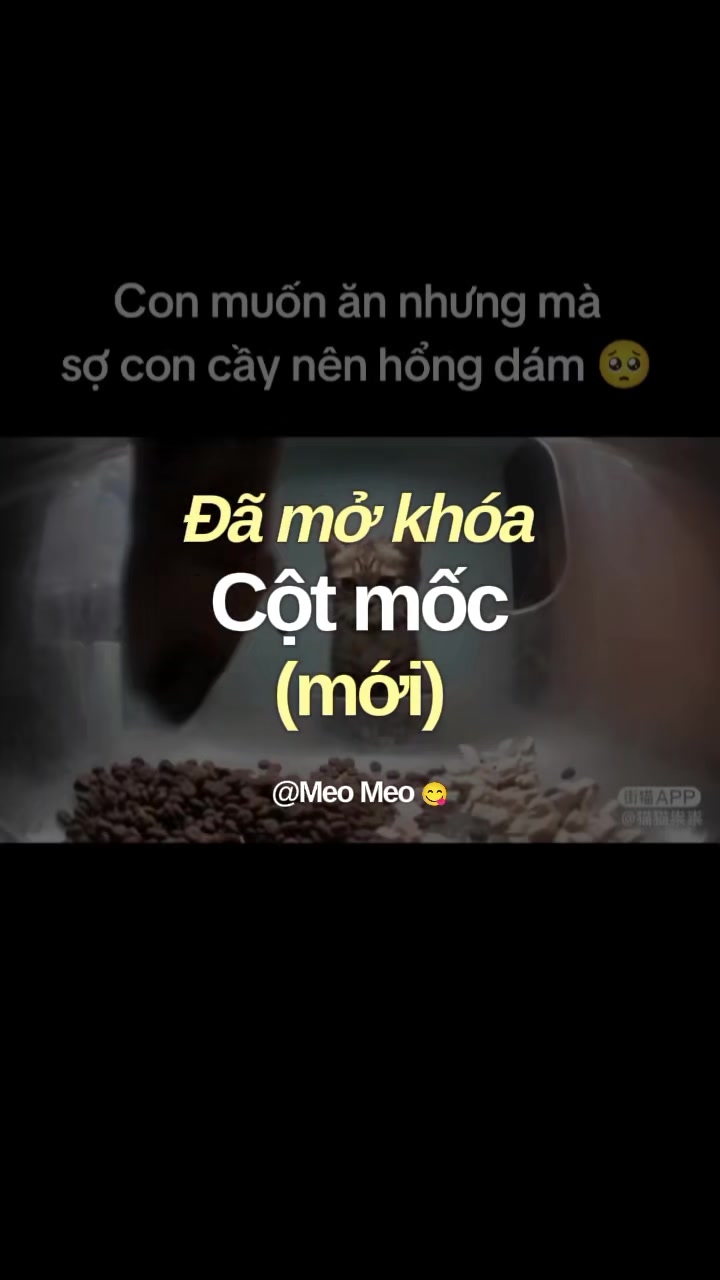 @Meo Meo 😋