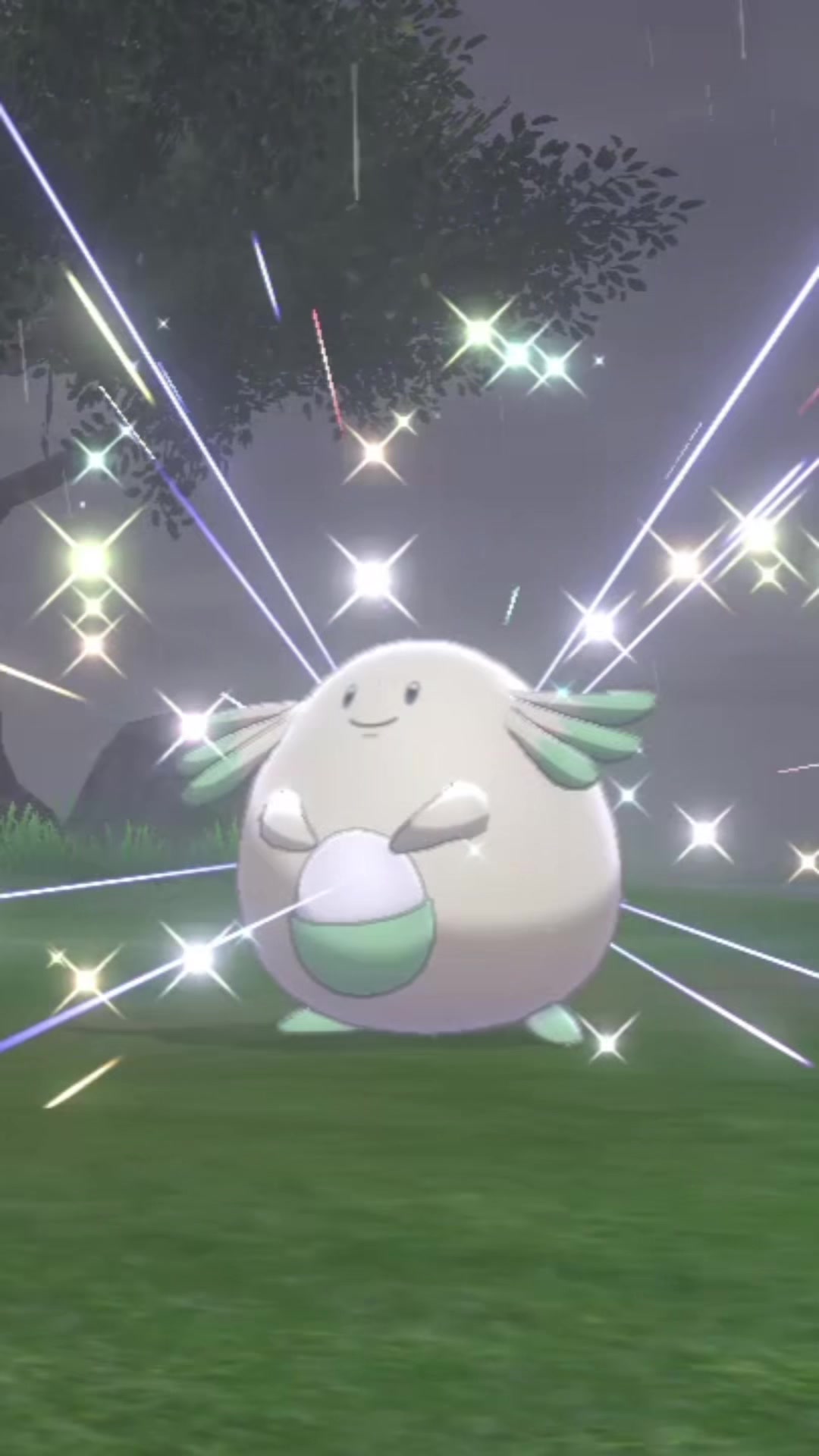 @Diego✨🐻🍉