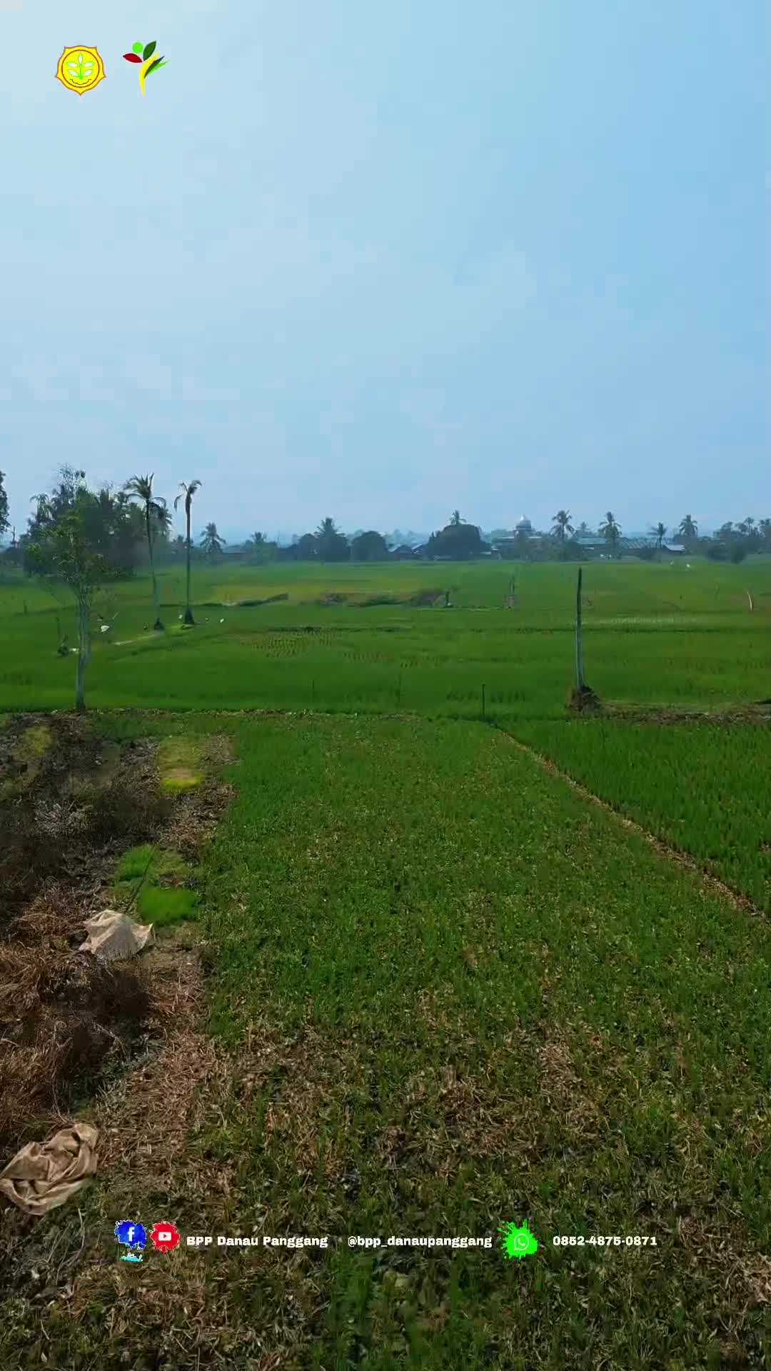 @Putra Balada