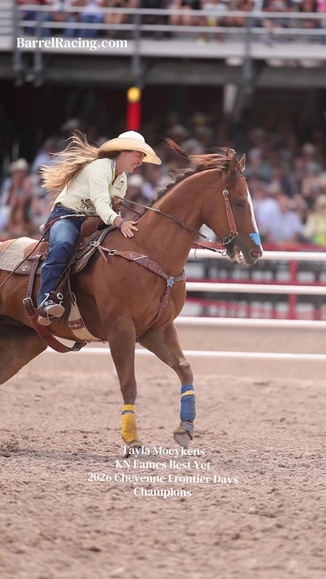 @BarrelRacing.com