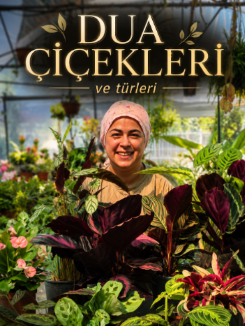 @Botanik bah&ccedil;esi flora