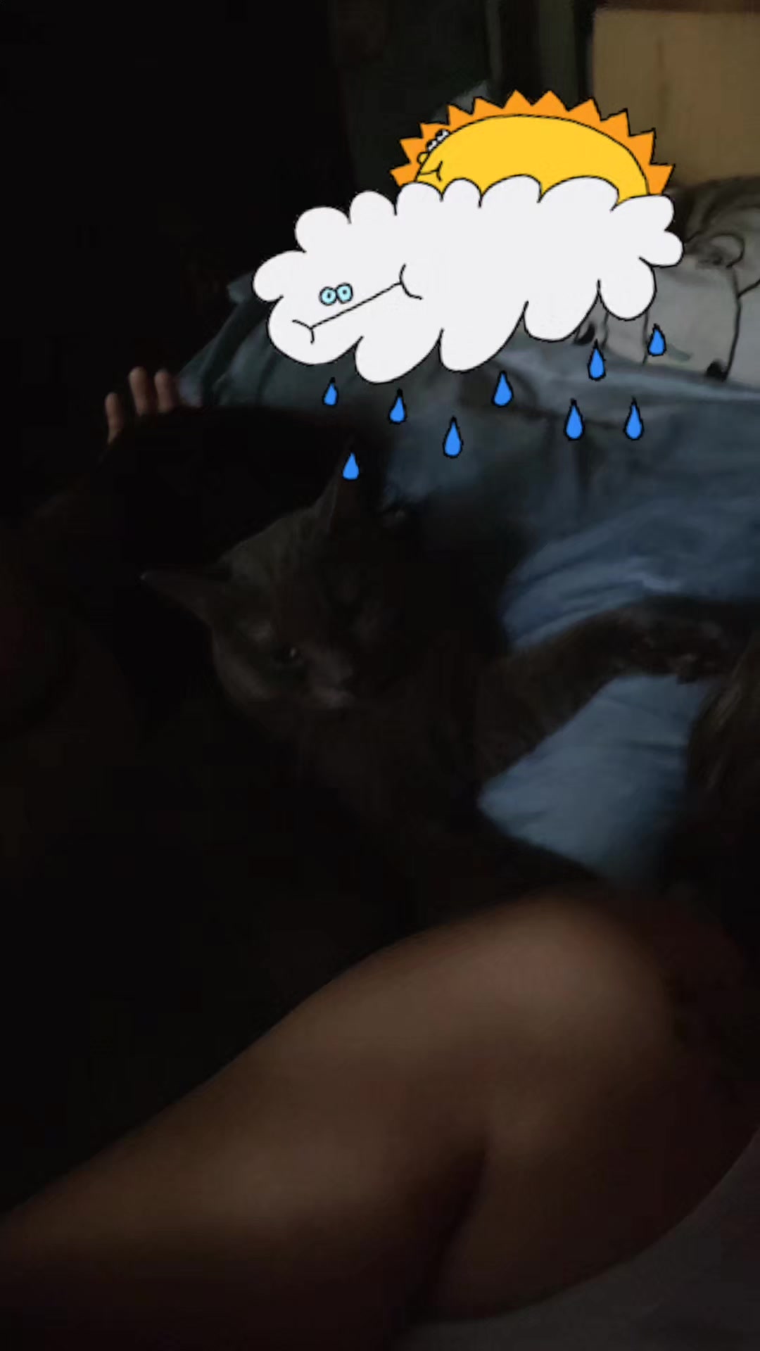 @CrazyCatMe