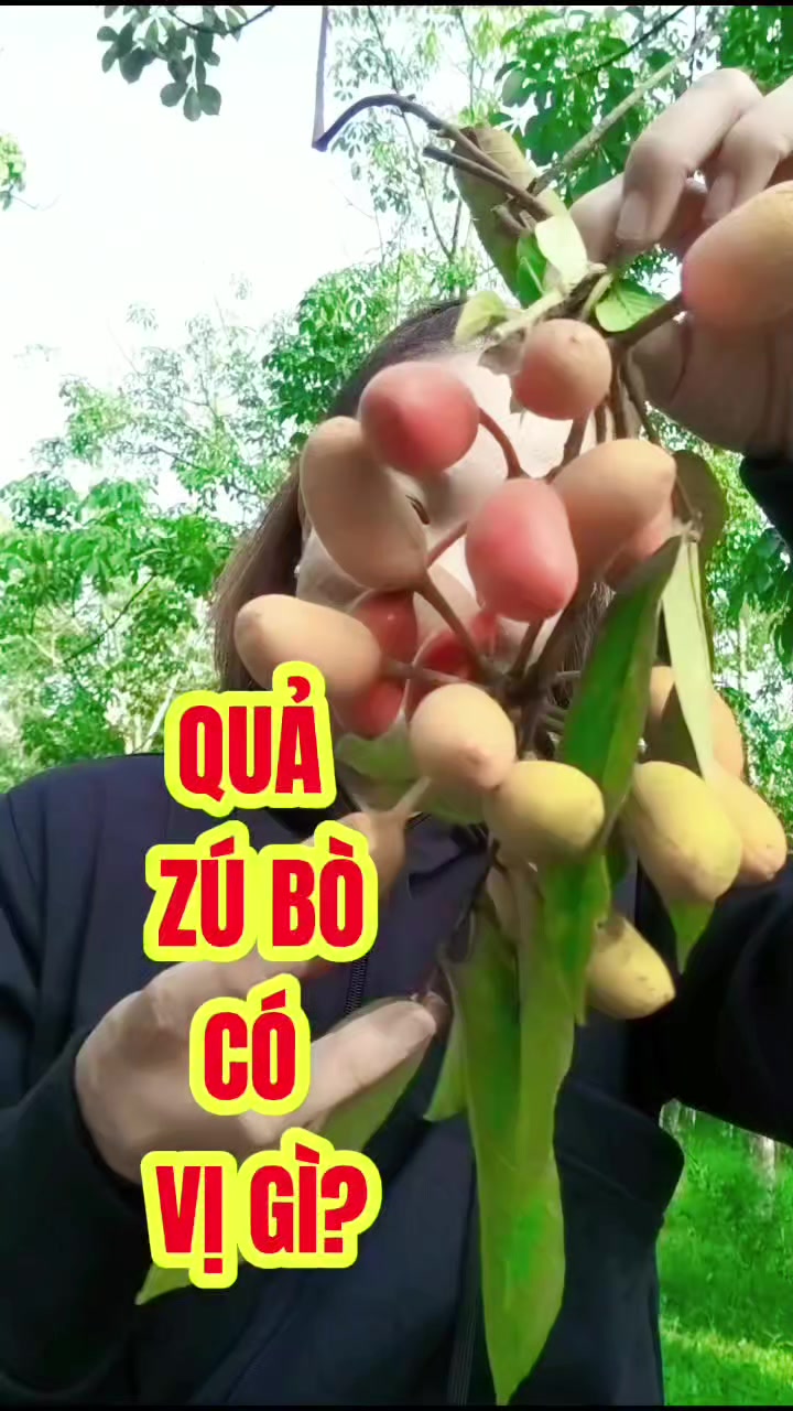 @Tạp hóa Khang Khang