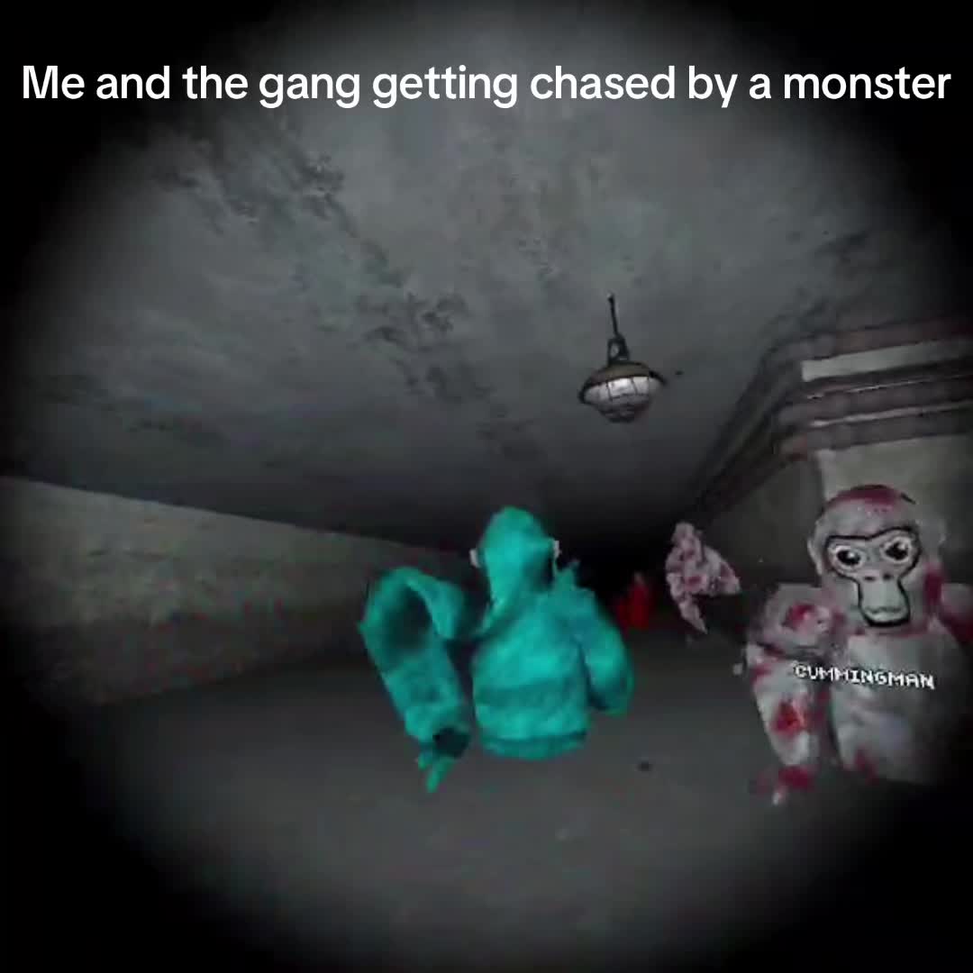 @MJT