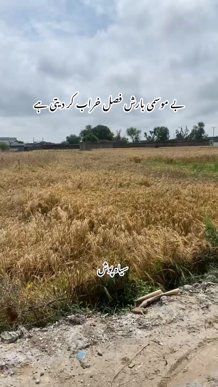 @سیاہ پوش🖤
