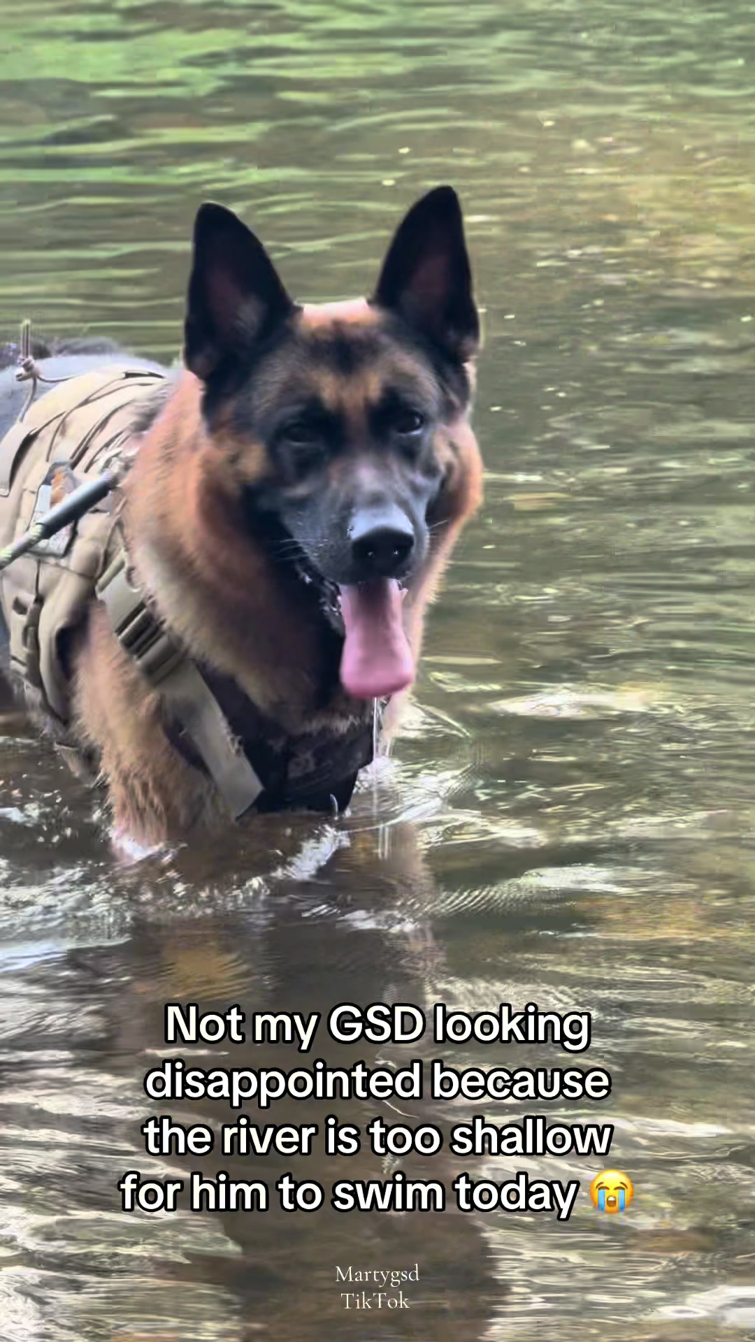 @Martygsd