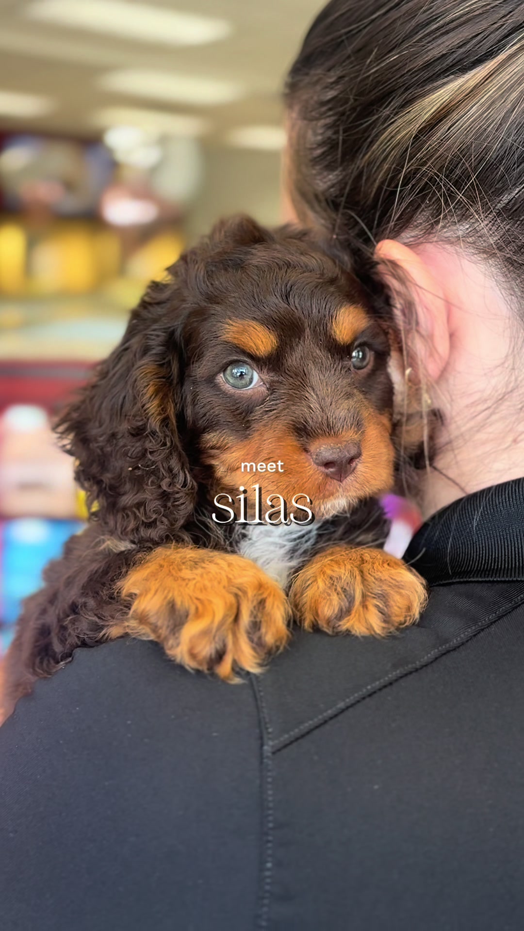 @Petland Bradenton