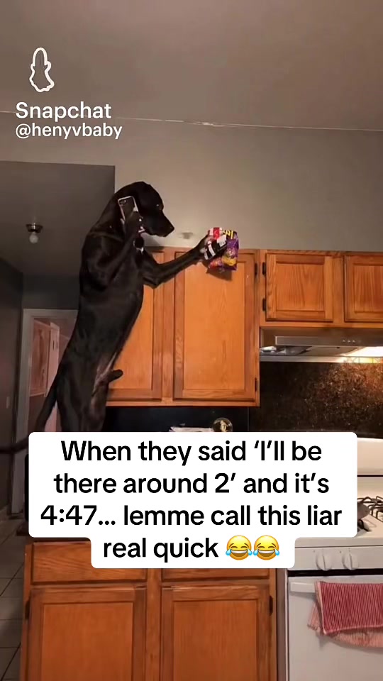 @JayGotYouApproved