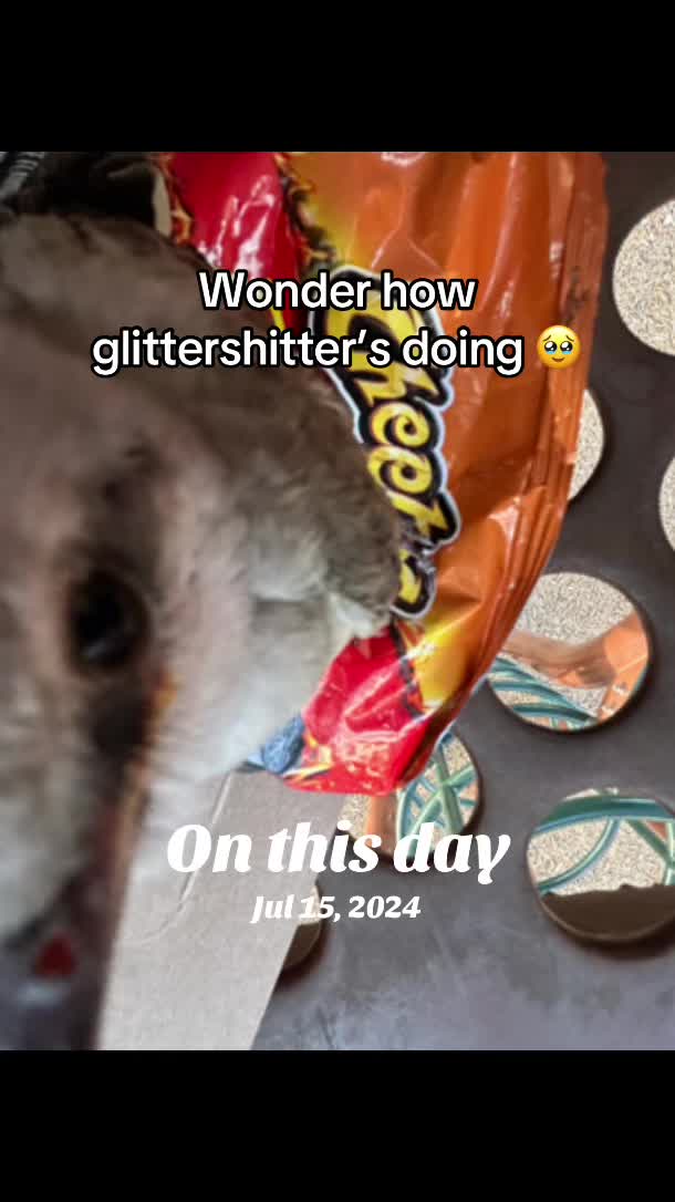 @。˚☽˚。⋆ 𝕋𝕚𝕝𝕝 ⋆。˚☾˚。