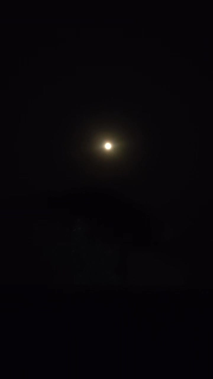 @⚜️ZIA__ضیاء💛