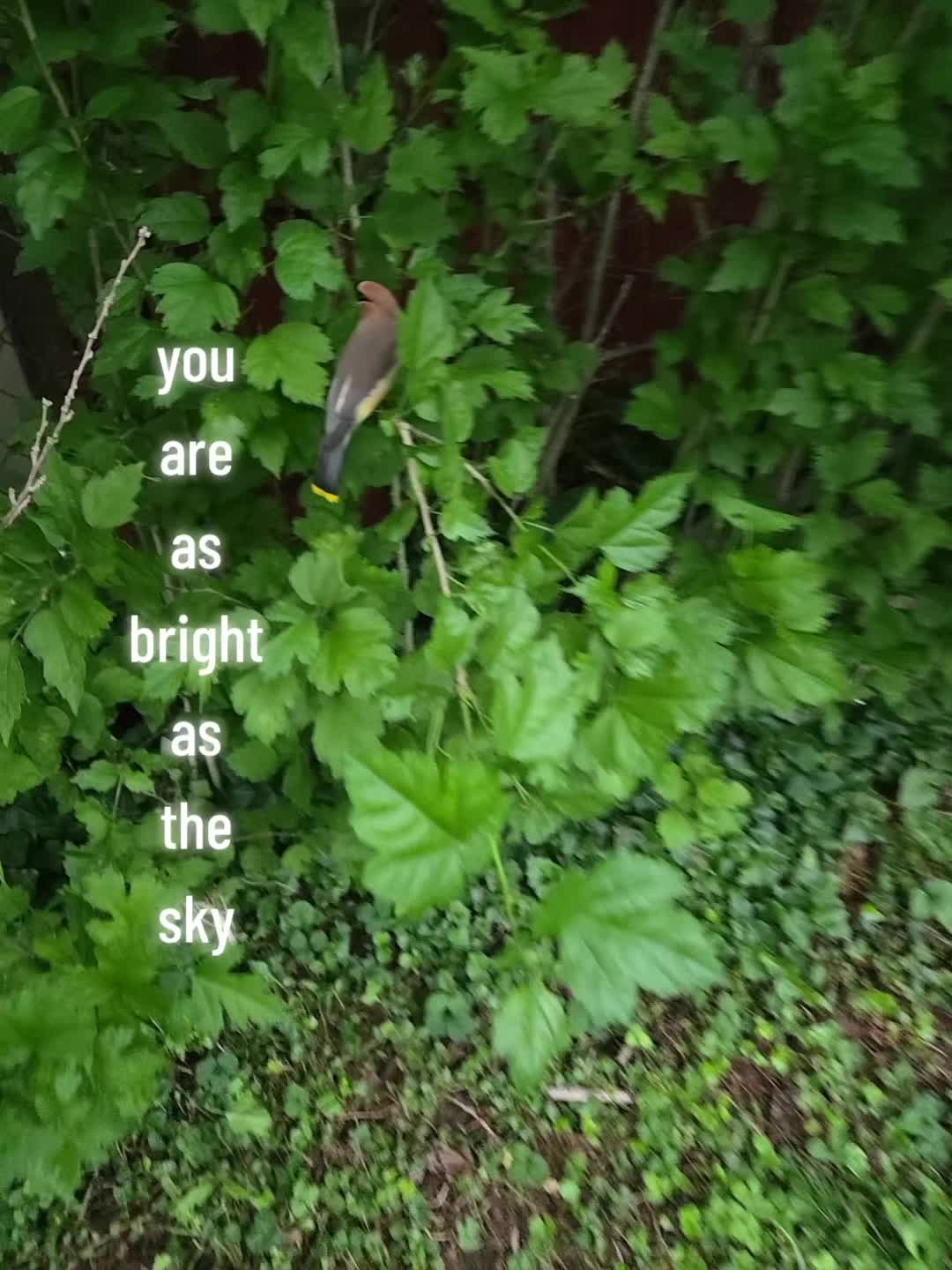@ogkay