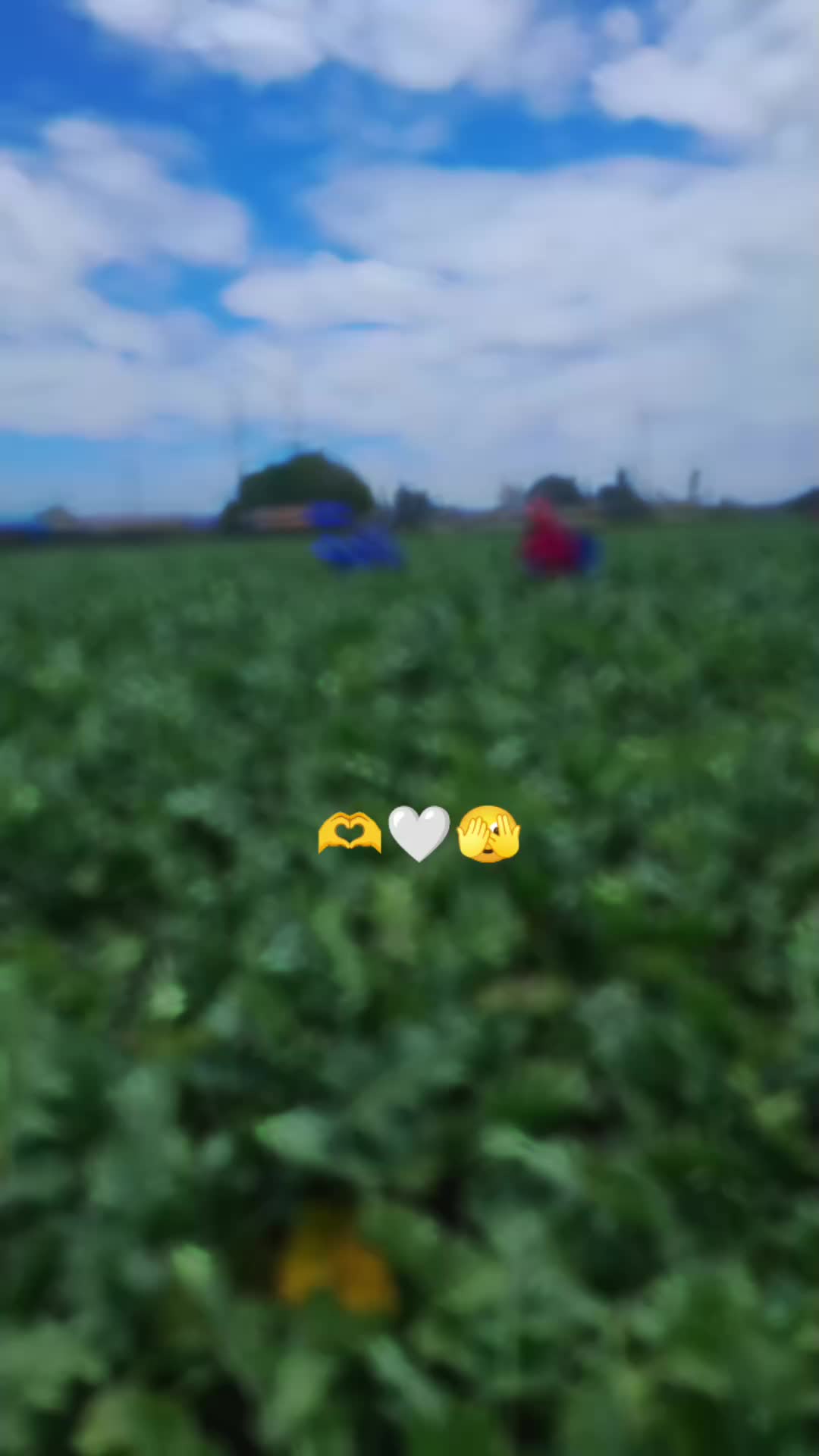 @Merlía cruz