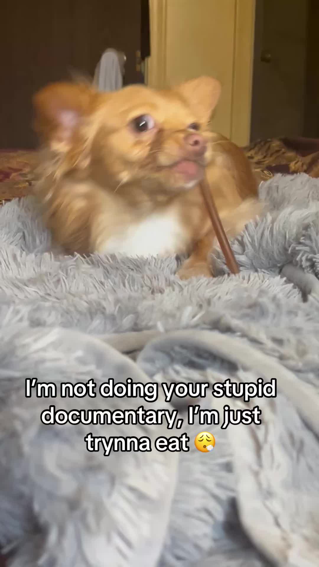 @it’s Lady & Lisa