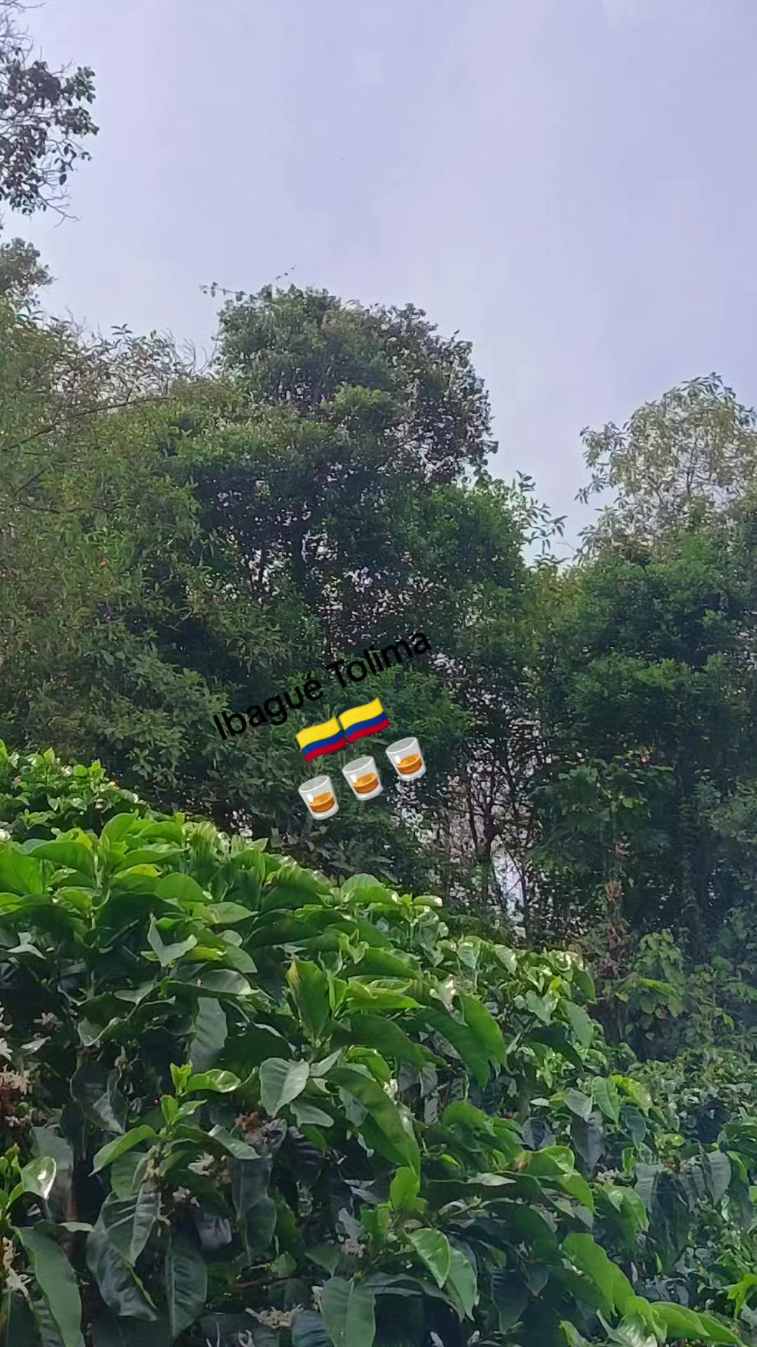 @💥 GARC&Iacute;A💥
