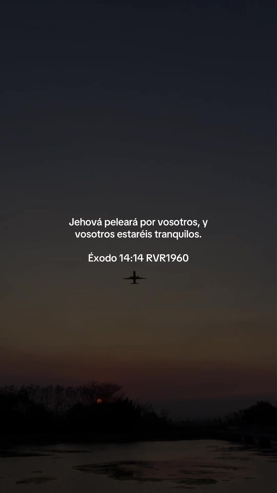@vidabonita❤️&zwj;🩹