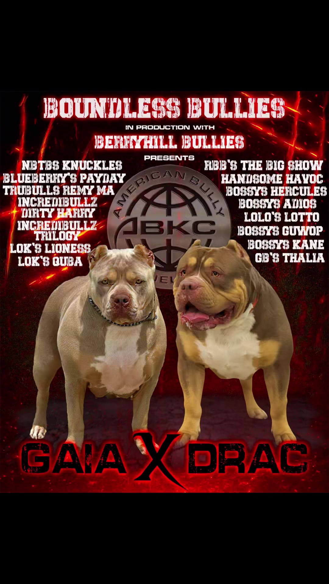 @🐾 Boundless Bullies 🐾