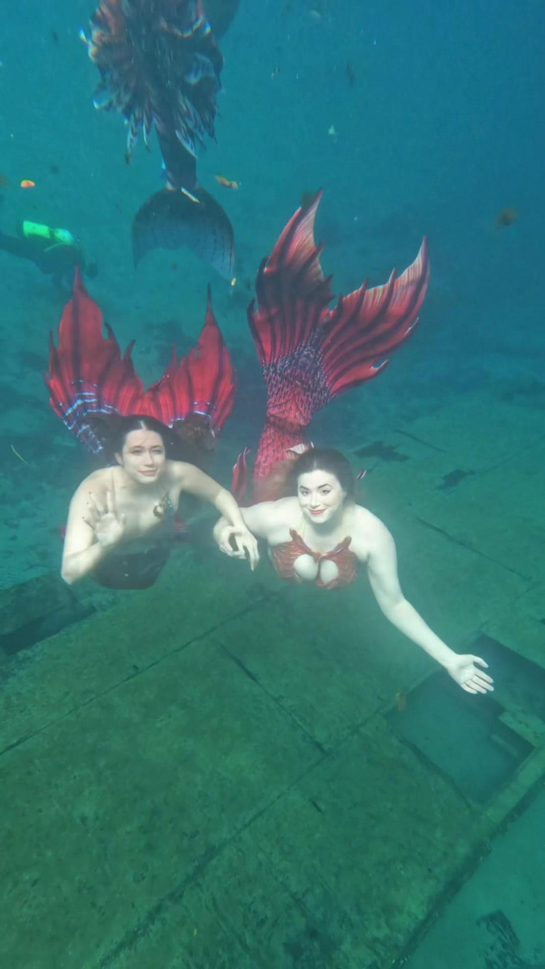 @Rose the Mermaid