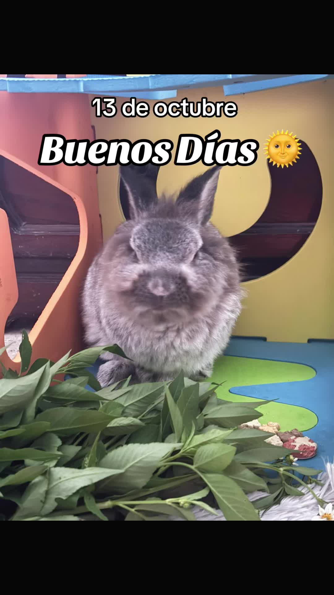 @8luisplaza8