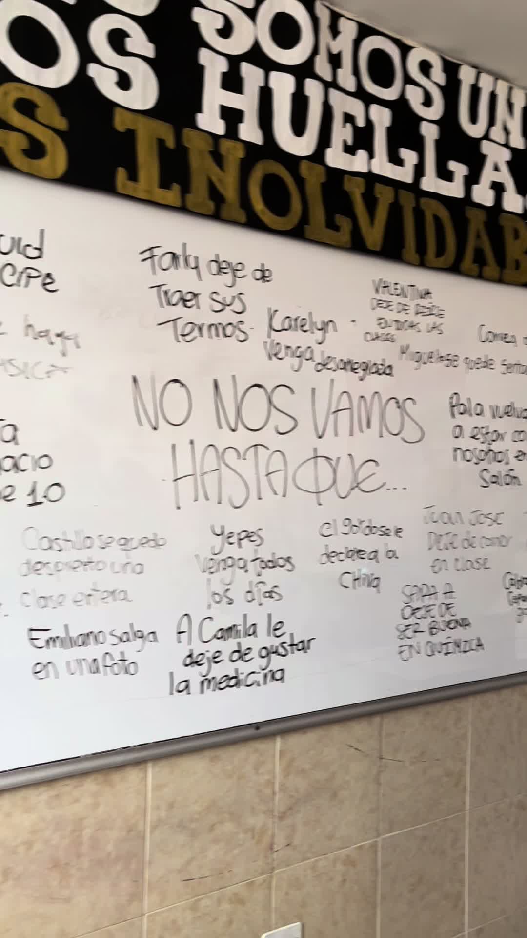 @11°B 2024