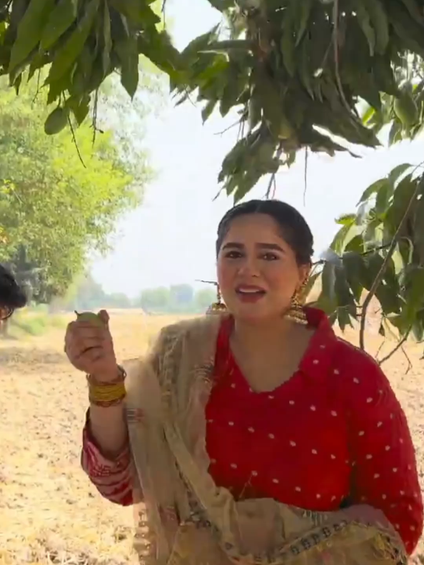 @Aliza Da Punjab