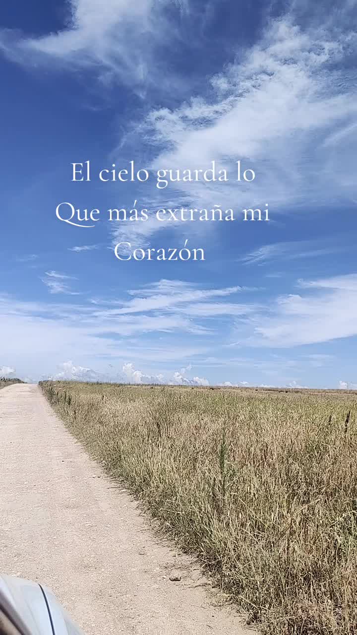 @Roxana Vera