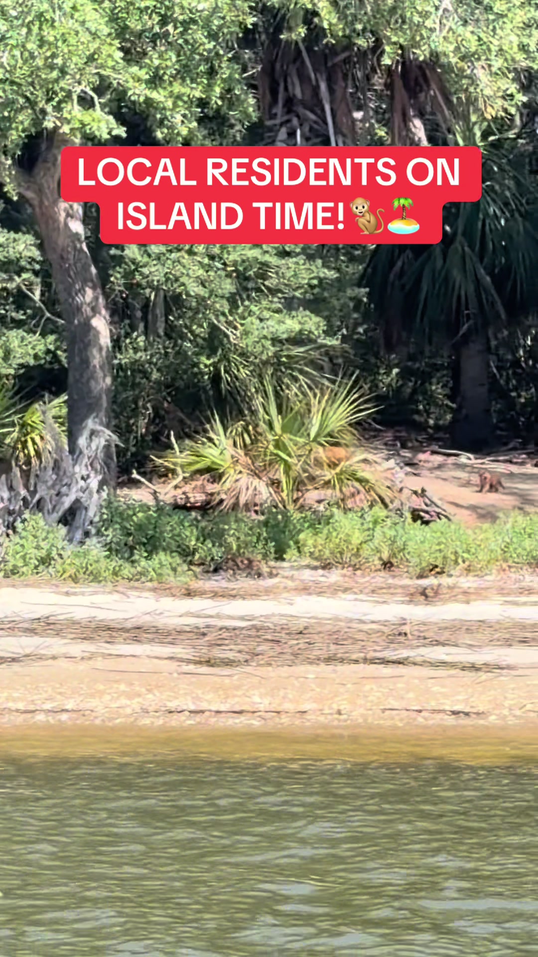@BeaufortSC_Bait