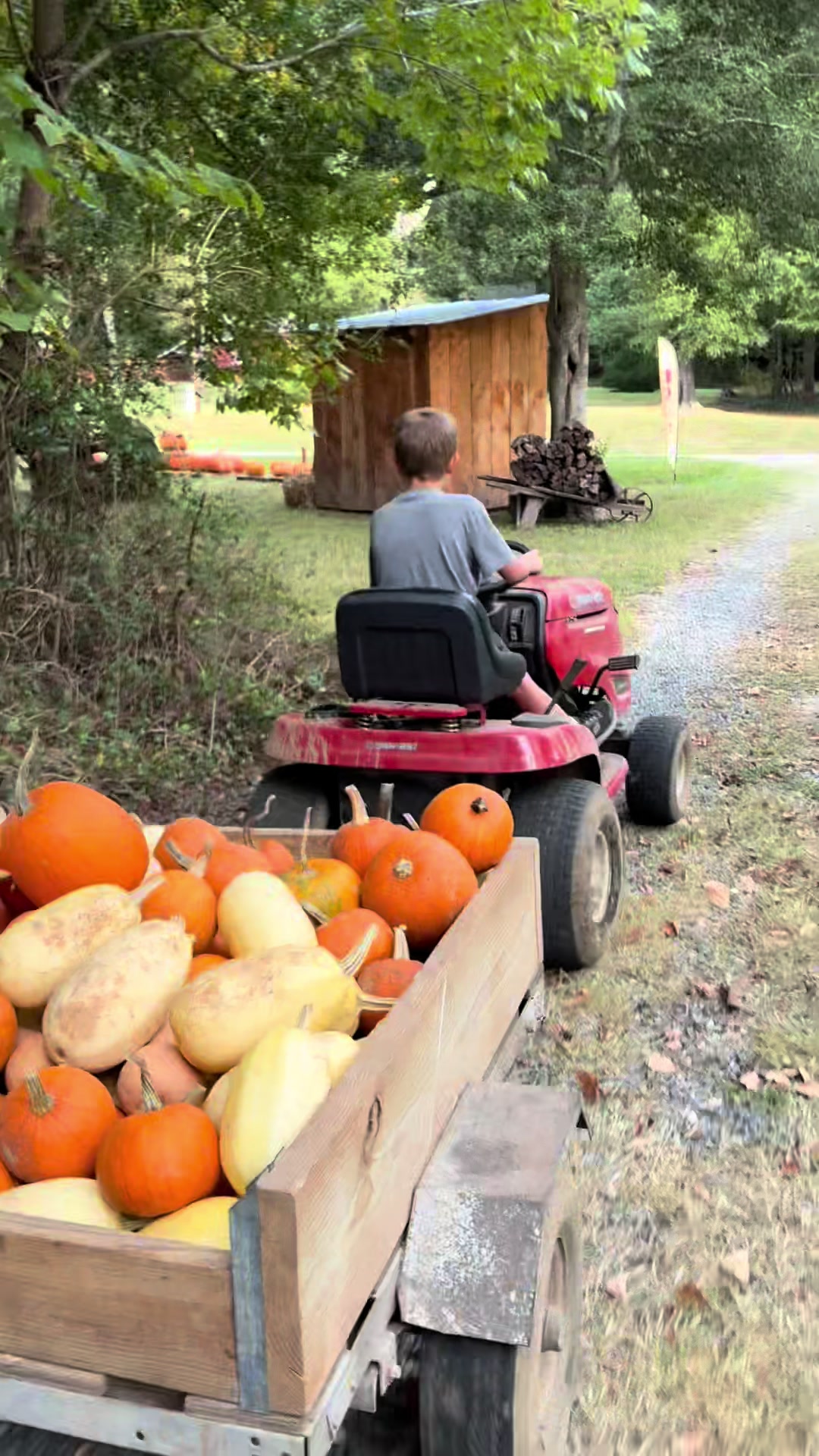 @Gray Acres Homestead
