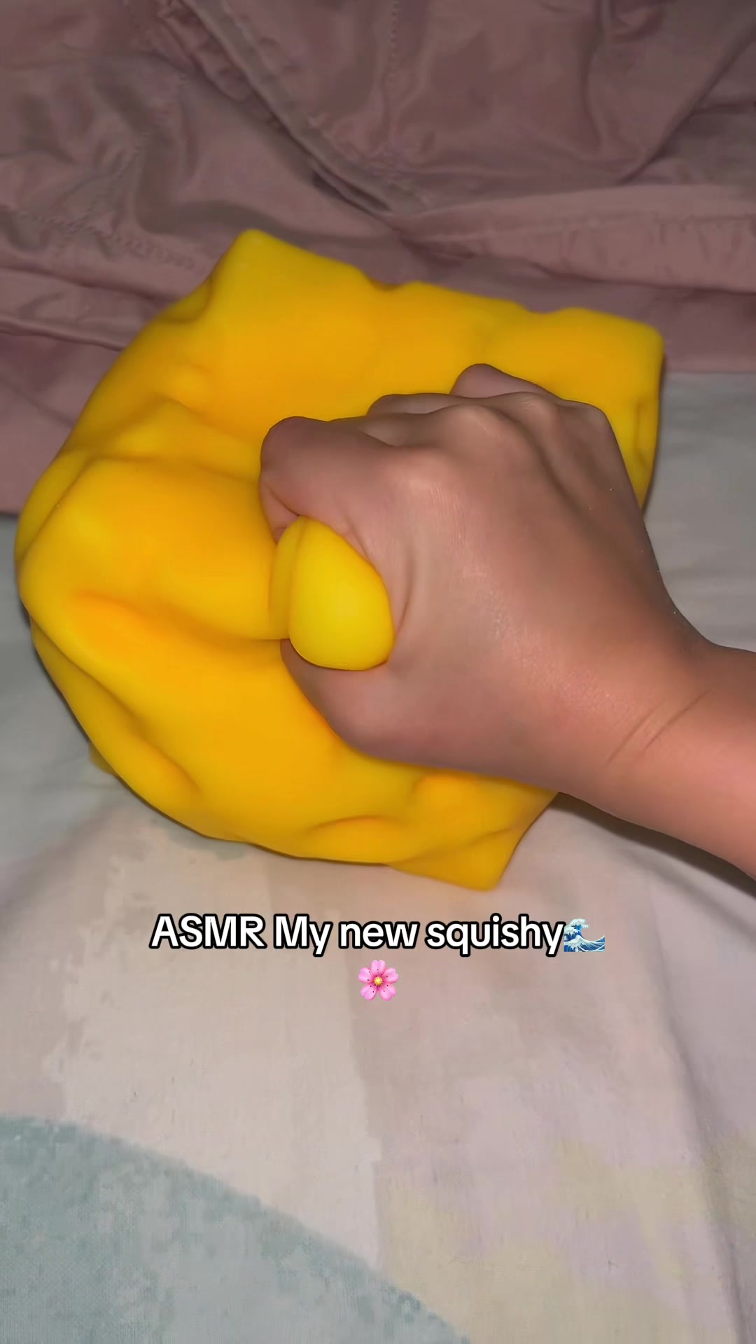 @๐Lemon squishes ๐