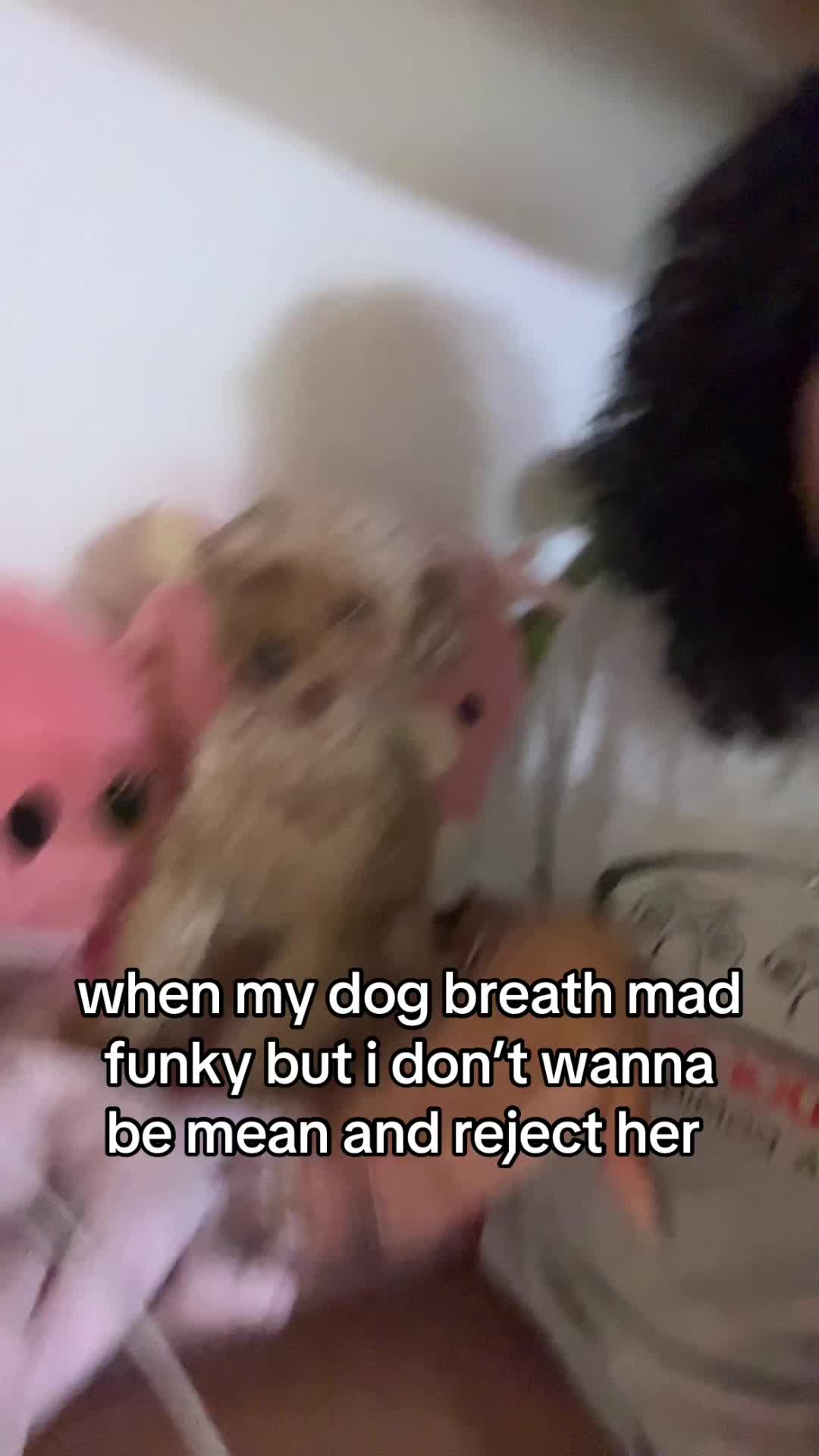 @Sara 🌺