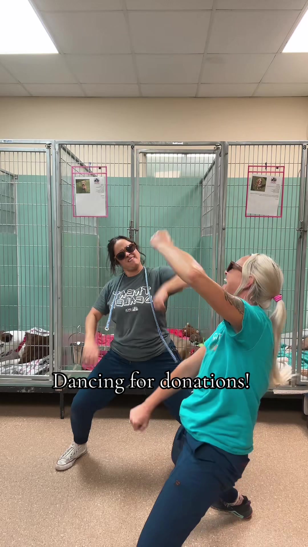 @2vettechs