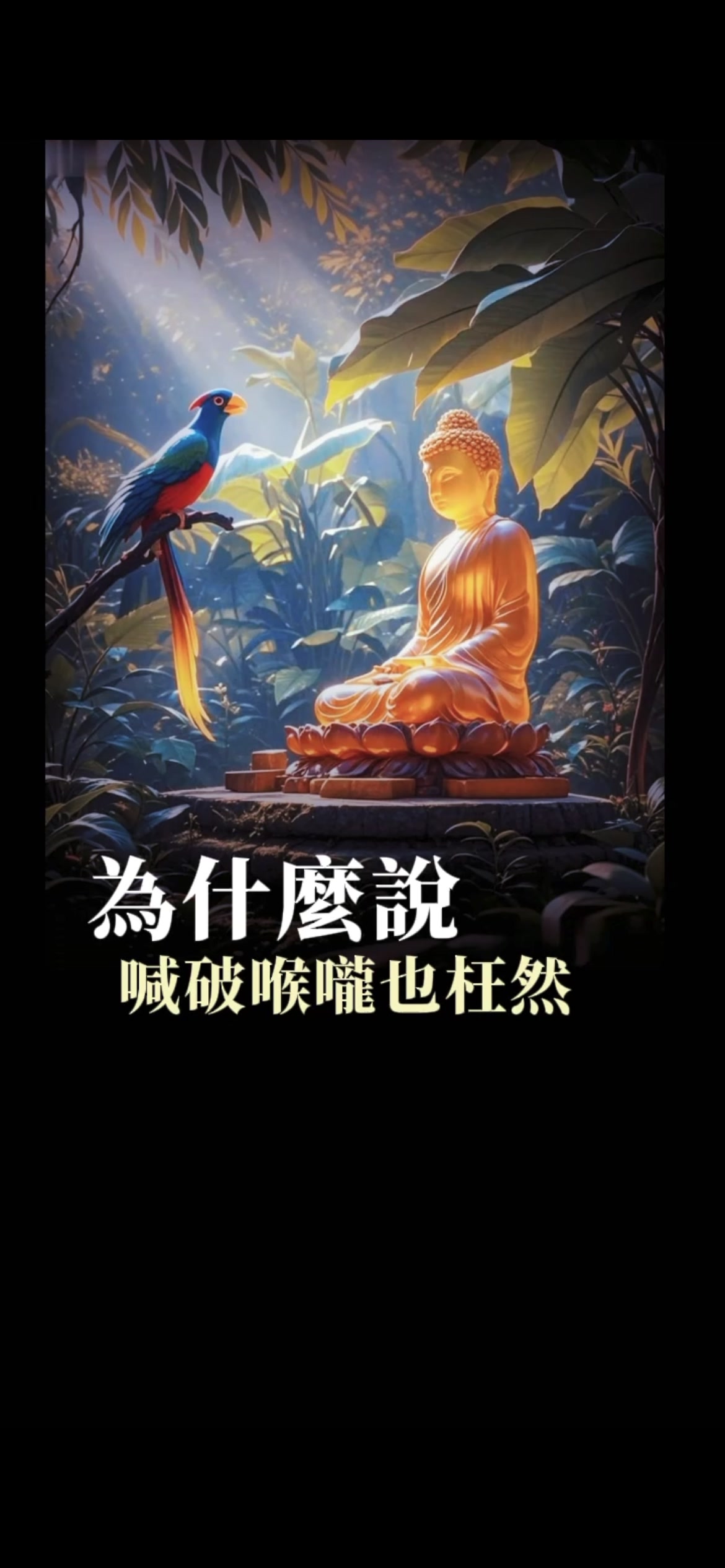 @南無阿彌陀佛🙏🙏🙏