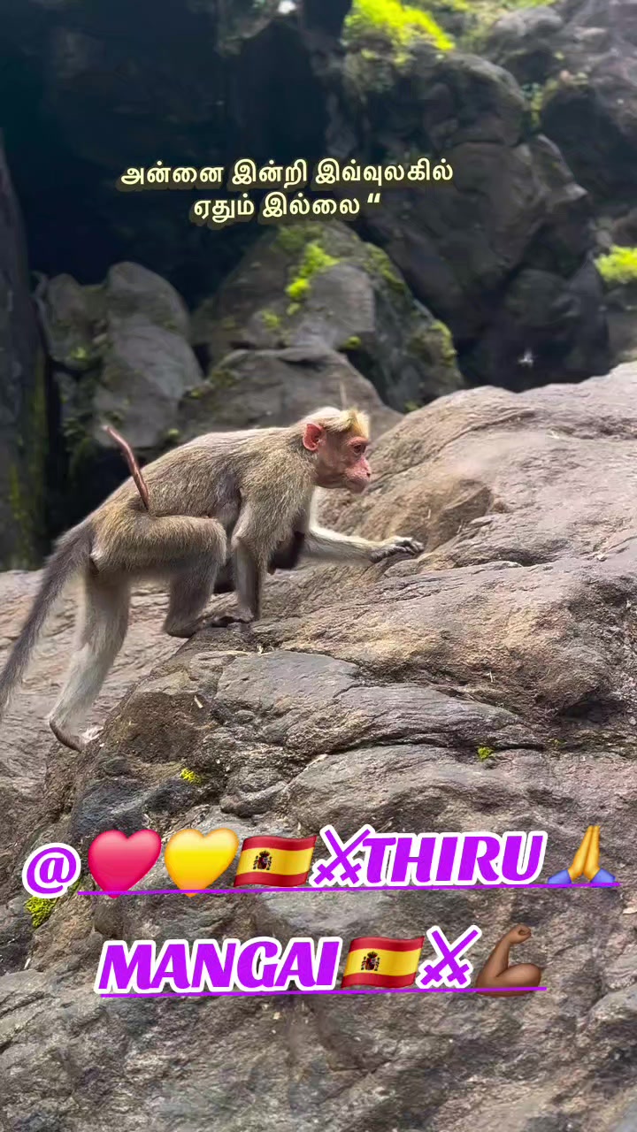@N🇦🇹SELVAKUMAR🇦🇹