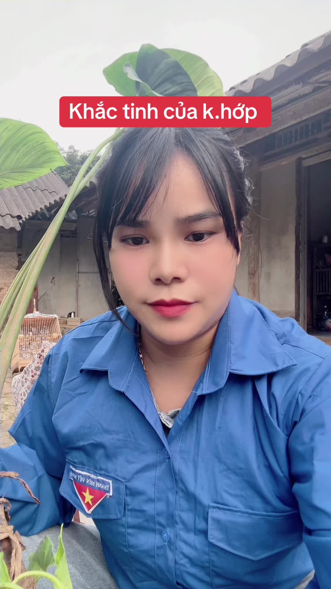 @Ngọc Chinh Miền N&uacute;i