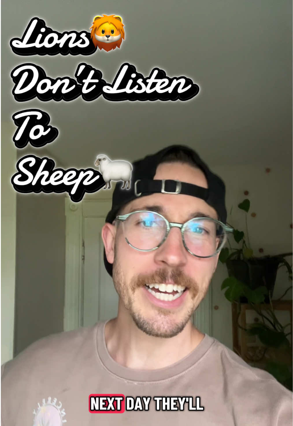 @mitchy_stitchy