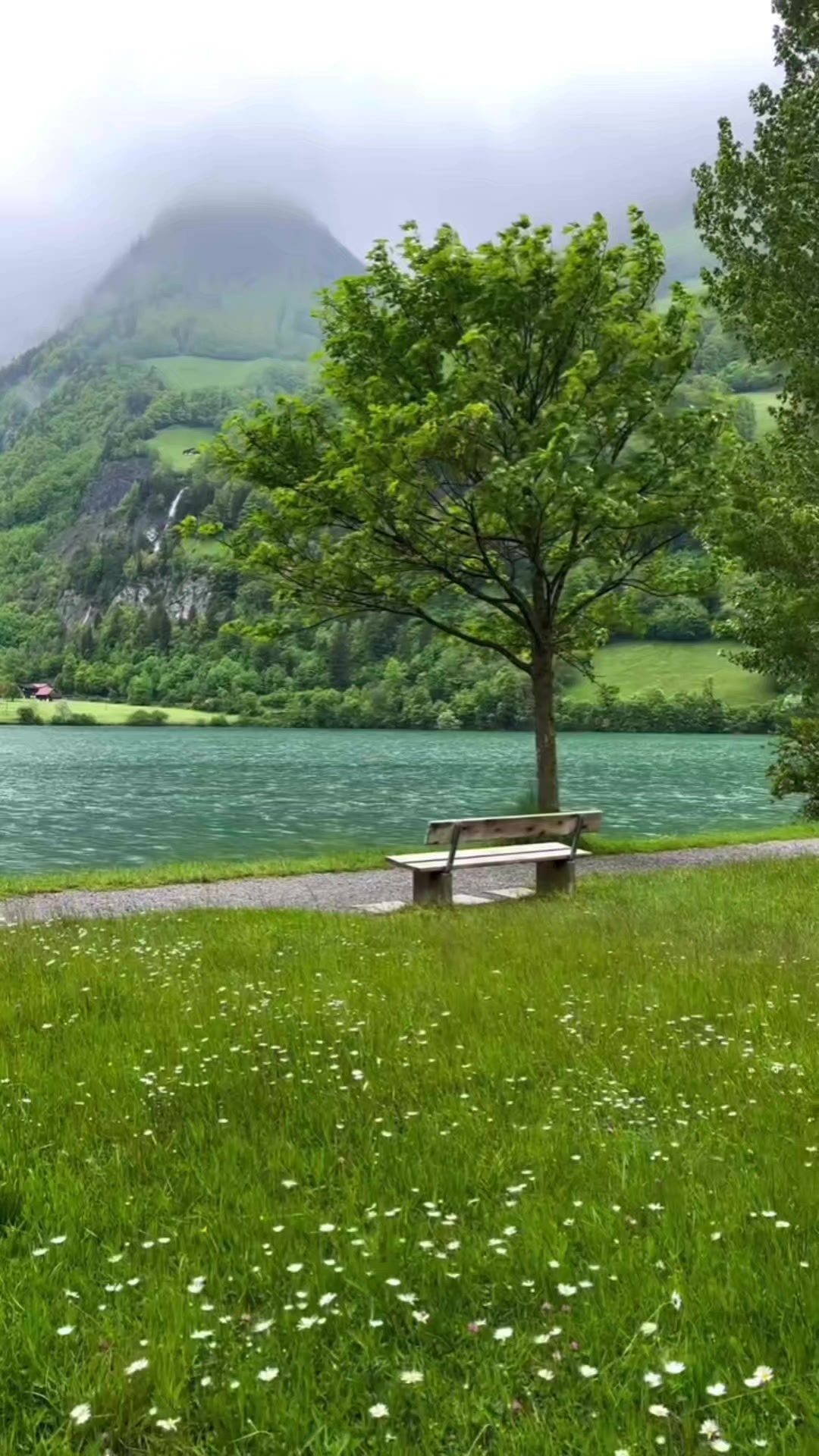 @cadı seda