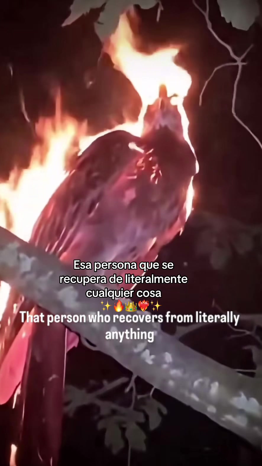 @Carla Carrillo