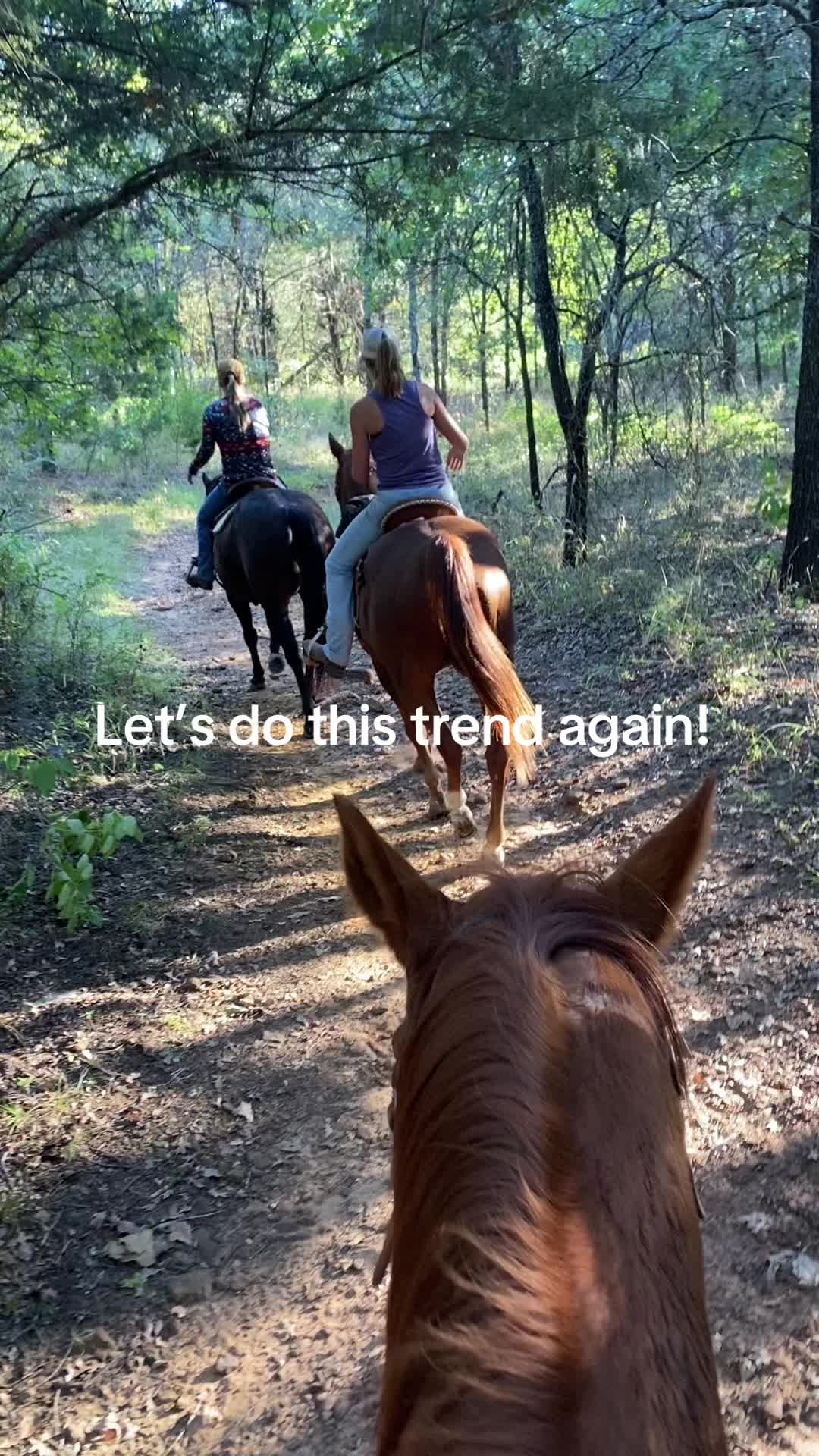 @ASR Equine