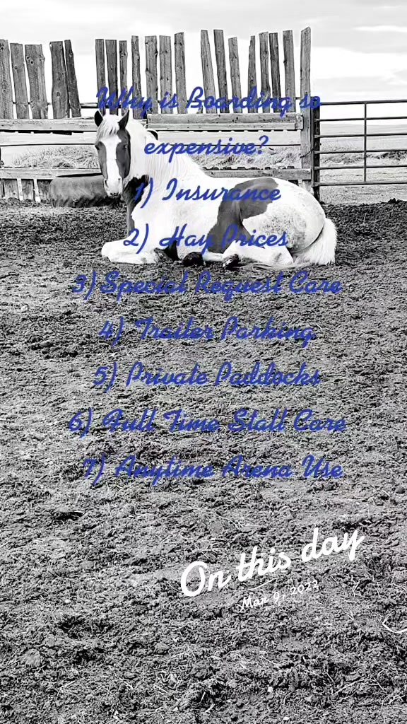 @Barrel Racing Journey