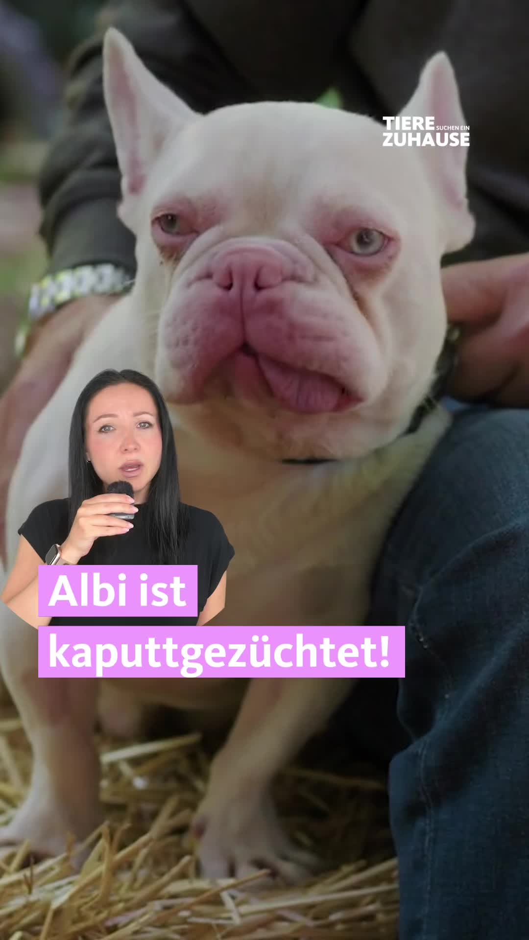 @Tiere suchen ein Zuhause