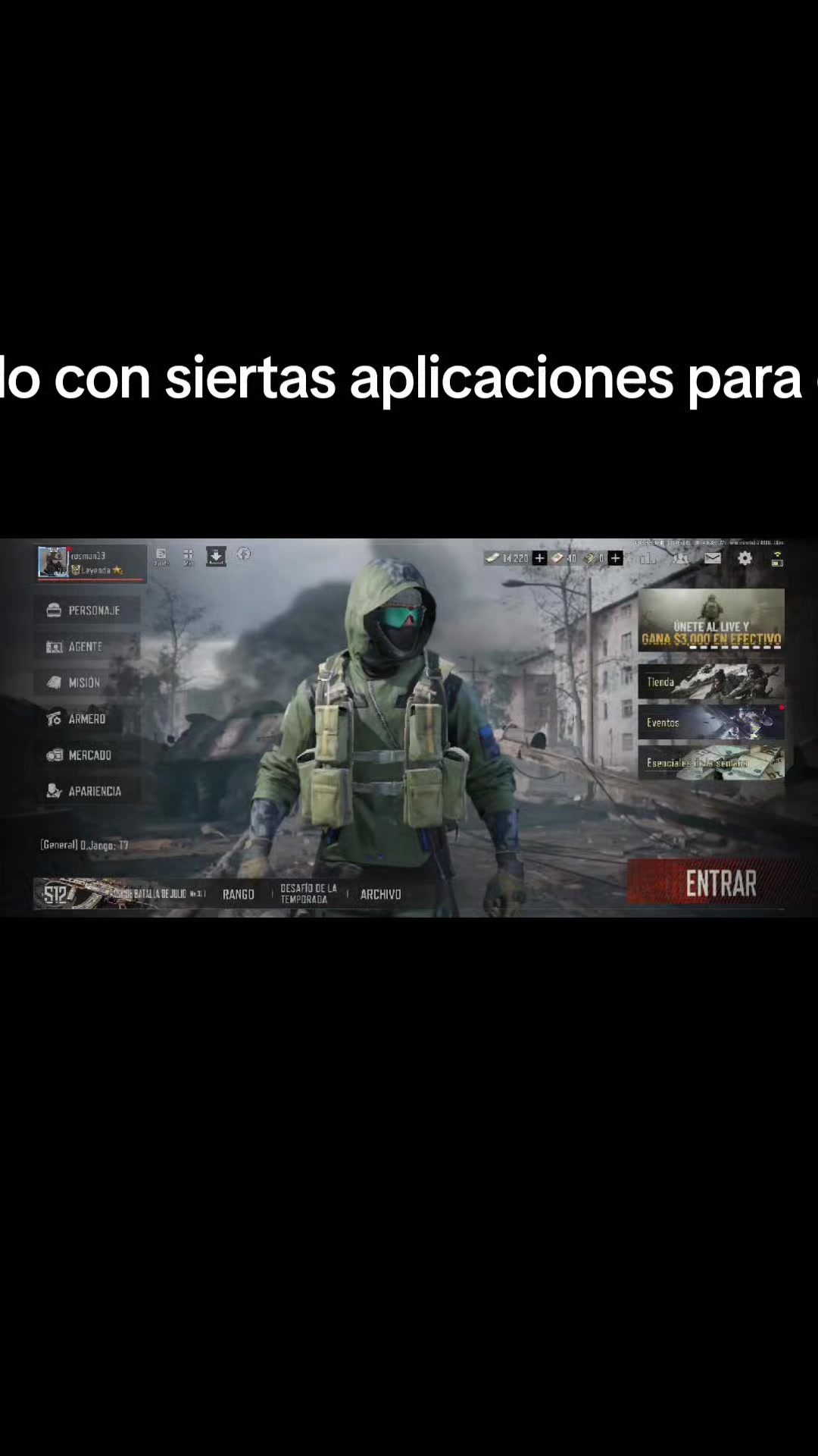 @gato de combate