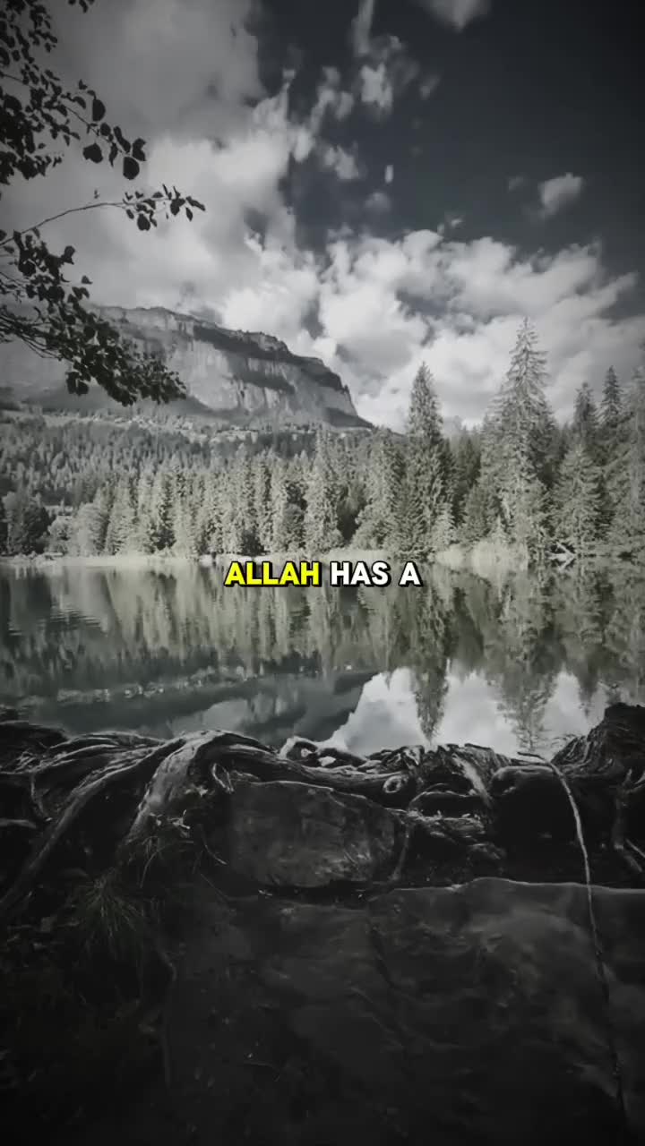 @Islamic Vibes