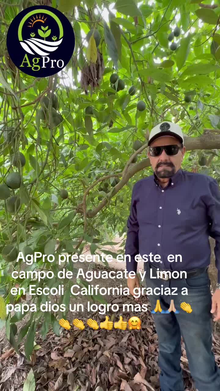 @Piedad Ayala