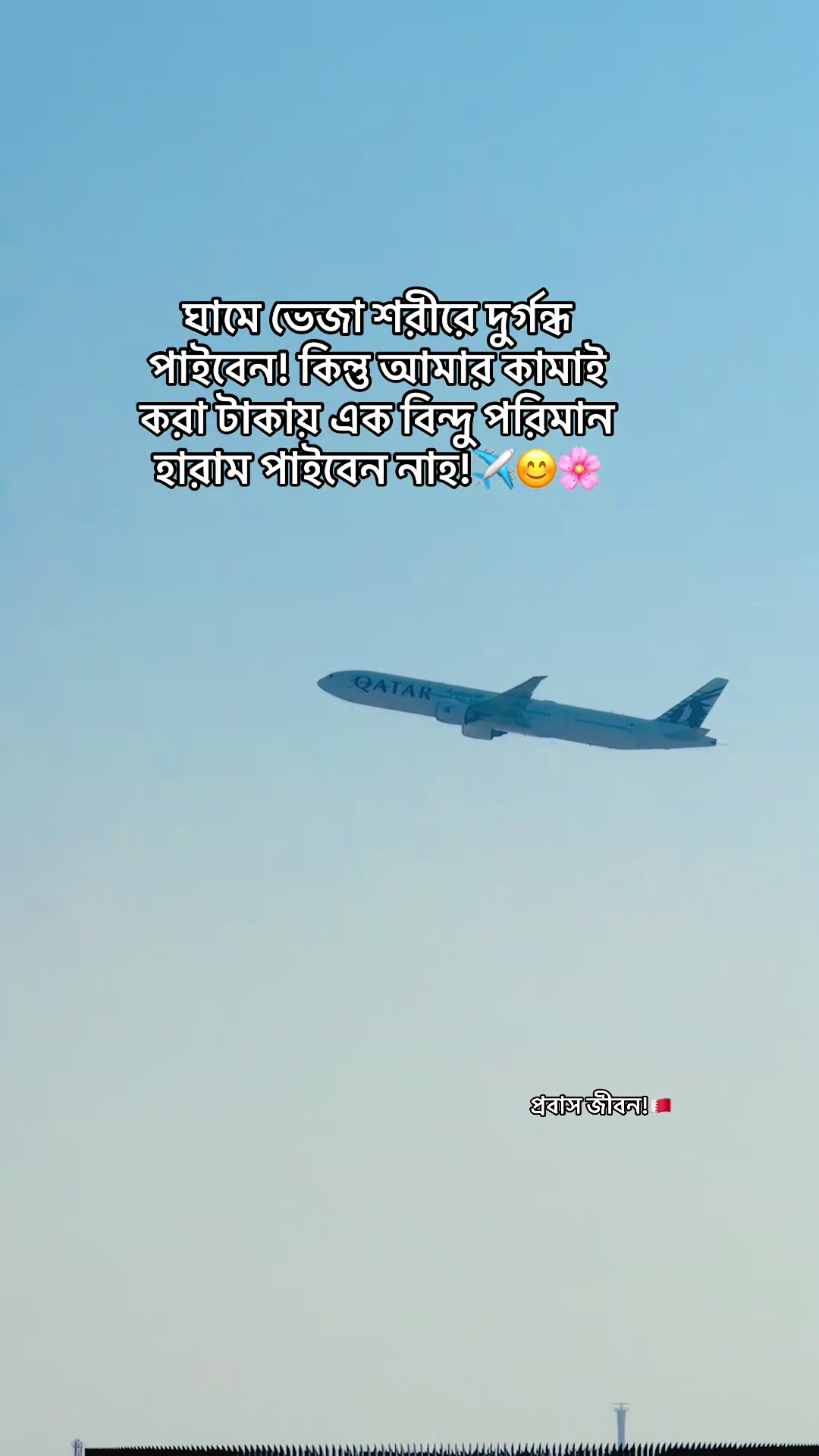 @𝐌𝐞ℍ𝕖𝐷𝑖 𝗛𝗮𝒮𝒶𝗡 _ツ
