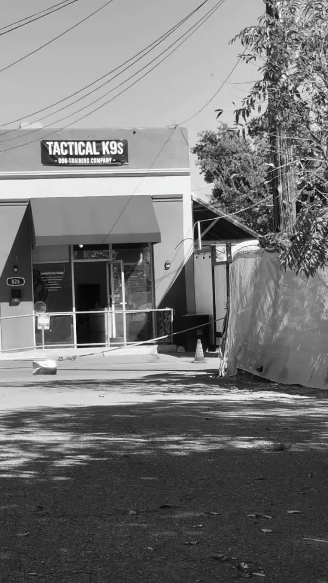 @Tactical K9s Dog Training