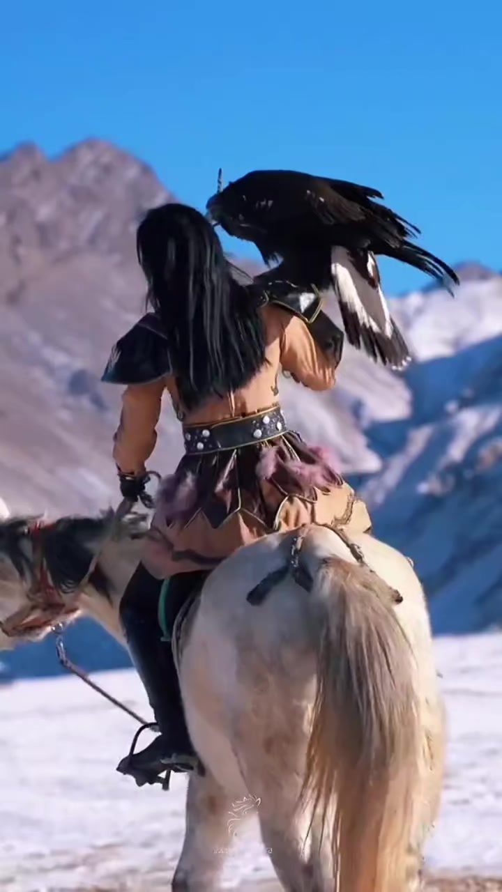 @Alp Türkmen