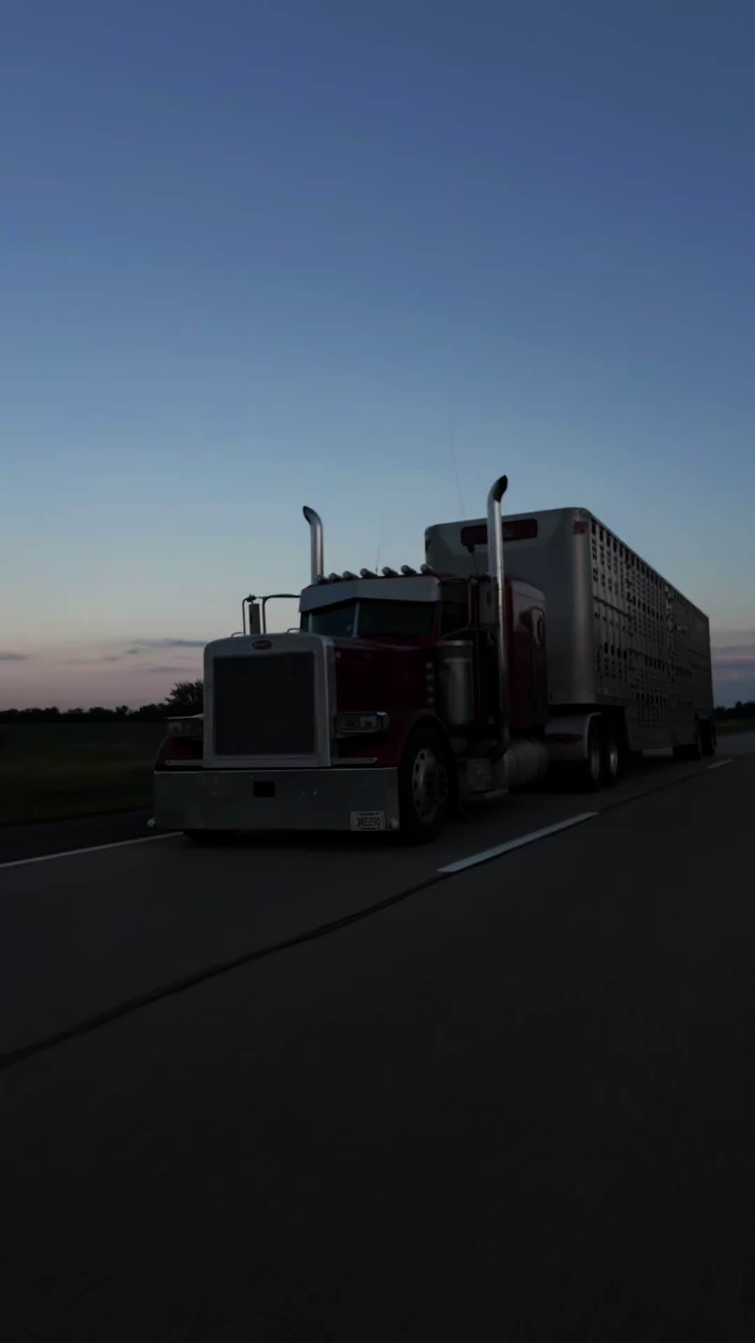 @jb_cattle