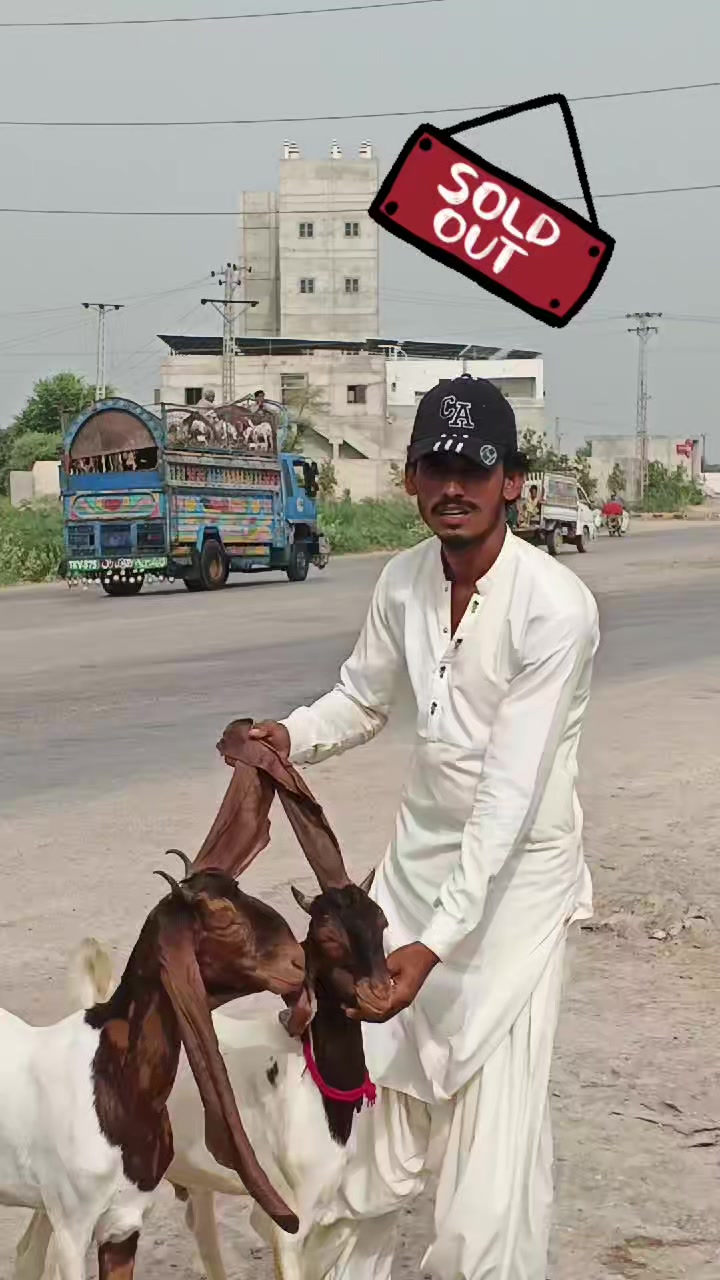 @✨.زاهد سولنگي واپاري. 🐐